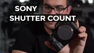 How to check your Sony Shutter Count (Actuations)