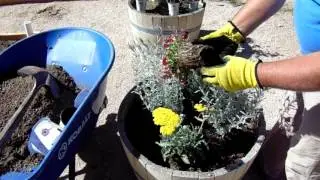 Decomposed Granite Container Gardening 2