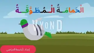 الحمامة المطوقة 🕊️
