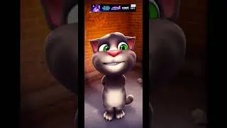Funny video#cat #shortvideo #masti #@MrTomcat #1k