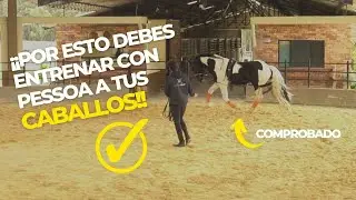 TIP PESSOA PARA ACABALLOS DE EQUITACIÓN Y ADIESTRAMIENTO
