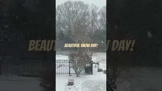Beautiful Snow day! #motivation #quotes #poetry #trending #love #letsgoforawalk #life #song