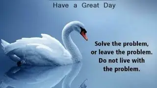 Have a nice day