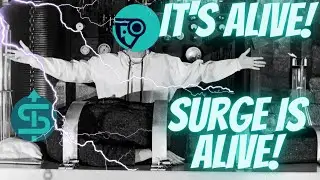 Surge Token DEFI Altcoin: Контракт на возврат средств ЖИВ!!!