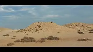 Purple Island  , Doha Qatar