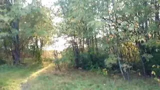Копал яму и нашел золото. Mining fine gold in small creek.