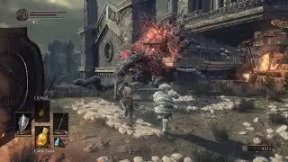 DARK SOULS III Kill Fire Demon With Siegward - Toast & Sleep Gesture