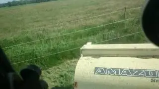 Amazone Horse Hopper