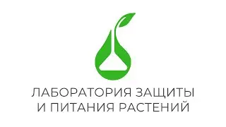 The best adjuvant for dim/лучший адъювант для клетодима