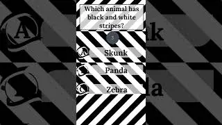 Animal has black and white stripes | Skunk Panda Zebra | General knowledge  #trivia #quiz #animal