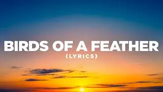 Billie Eilish - BIRDS OF A FEATHER (Lyrics Cover) | Pop Mage
