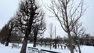 Snowfall in Vienna | Walking Through a Snow-Covered Volksgarten ❄️ #Volksgarten #Vienna #snowfall 