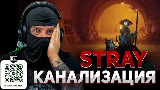 ПУТЬ В МИДТАУН ➤ STRAY ➤ BEST PLAY MOMENT
