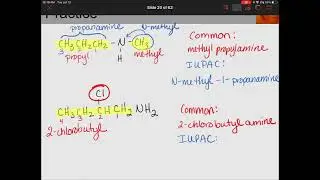 CHEM& 131 Acids, Esters, Amines, Amides - Naming Amines and Amides