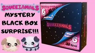 SQUEEZAMALS MYSTERY BLACK BOX!!! (exclusive characters)