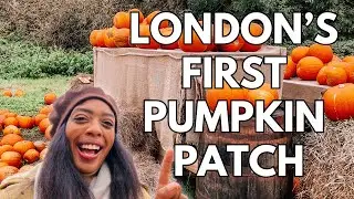 LONDON'S FIRST PUMPKIN PATCH 🎃🍂 | Hobbledown Heath
