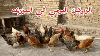 روتين المزرعه او حياه مربي 💪