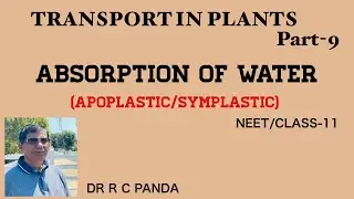 ABSORPTION OF WATER--APOPLASTIC & SYMPLASTIC PATHWAY | TRANSPORT IN PLANTS,PART-9 | NEET| Dr R Panda