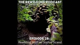 Rewilding Myth w/ Sophie Strand - The Rewilding Podcast