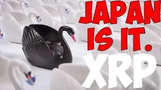 Ripple XRP ЯПОНИЯ ЯПОНИЯ ЯПОНИЯ ЧЕРНЫЙ ЛЕБЕДЬ О МФГ!