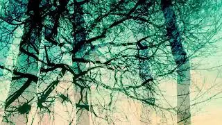 Last of the Year #frenchtouch #breakbeat #slow #house #leftfield
