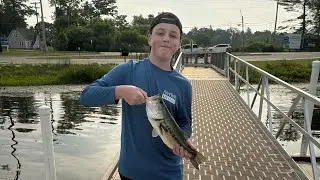 Trying the strike king lure co. rage and perfect plastics box