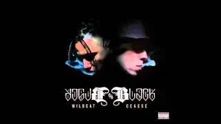 CEAESE X WILDCAT REMEMBER (FEAT NOBLE & GANJAHLISTIC)