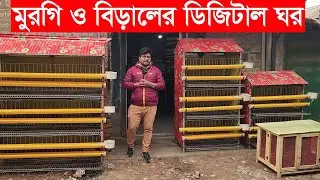 ডিজিটাল মুরগি ও বিড়ালের ঘরের দাম জানুন Khamar BD Official