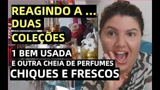 REAGINDO A DUAS COLEÇÕES MARAVILHOSAS DE PERFUMES MAIS USADOS E FRESCOS