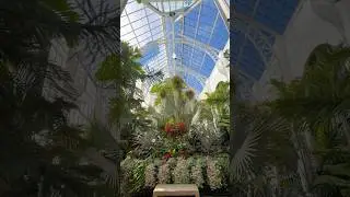 The Gilded Age Conservatory Of Biltmore Estate #history #greenhouse
