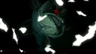 HUGE WRECKFISH IN NORWAY SEA😱 #800 Russian fishing 4