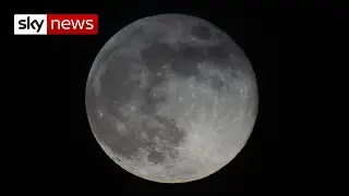 'Water traps' found on moon's surface