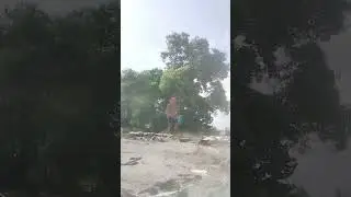 #viral #viralvideo #comedy #fish #indonesia #2023 #fishing #animals #lucu #politics #politicalnews