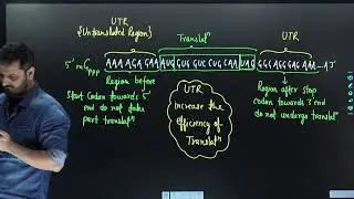 Molecular Basis Of Inheritance ( Translation ) I NEET I ULLAS SIR I IITians Guru
