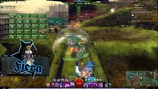 GW2 WVW | NEW & SOAR VS RED & BLUE