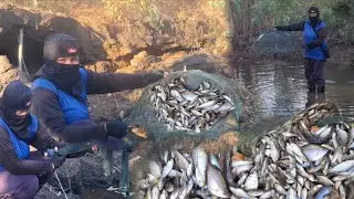 สุดสะออน!ใส่มุ้งดักปลาตามลำห้วยแถวบ้าน หมานปลาซิว ปลาขาว ไซส์หมกหอมๆ