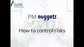 PM Nugget- How to control risks