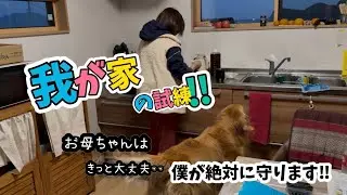 【家族の試練】絶対に負けません‼︎お母ちゃんは必ず守ります。