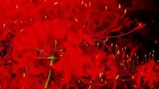The Green Howls - Te Veo: Light Language Remix
