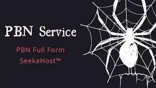 PBN Service: Private Blog Network Full Form Review | SeekaHost&trade;
