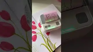 SEZNIK Mini Printer Review | Inkless Bluetooth Portable Printer for Android & iOS! @Seznik