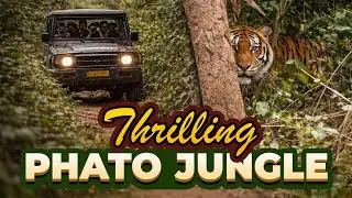 Thrilling Phato Jungle | Episode 58 &ndash; Jungle Diaries
