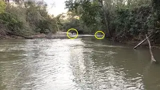 O MAIOR PREDADOR DOS RIOS!!! Vieram de longe FAZENDO O LIMPA. Pescaria. Rio São José dos Dourados.