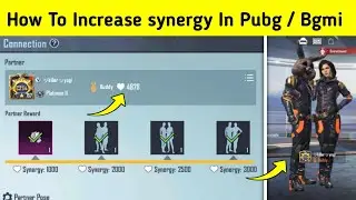 How To Increase Synergy In Bgmi | Pubg Mobile | Bgmi Main Synergy Kaise Badhaye | Lite Boi