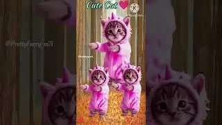 Cute Cat Dancing Video 🐈 Supper Furry Kitten Dance 🐱🥰#viral #catvideos #cute #cat #trending #shorts😍