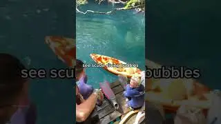 A Day in The Life of British Scuba Diver in Mexico #scuba #tulum #mexico #shorts