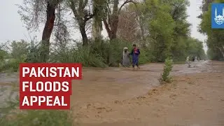 Pakistan Floods Appeal