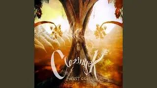 Forest Echo