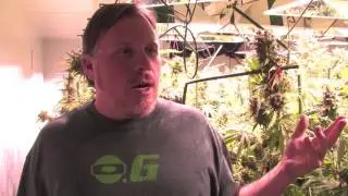The difference between a 315 CDL/LEC  and a 1000 Watt HPS