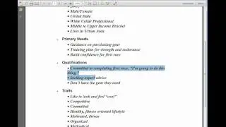Ideal Prospect Profile Sample 1